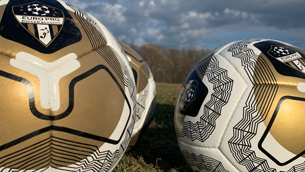 EURO PRO SOCCER ACADEMY | 288 Kemp Rd W, Grimsby, ON L3M 4E7, Canada | Phone: (905) 975-3996