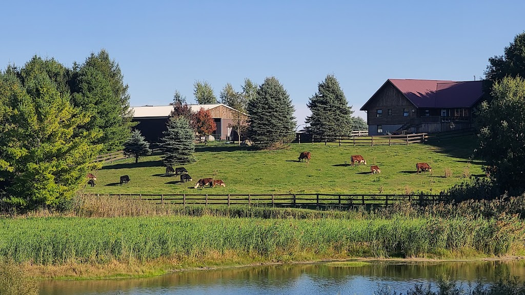 Three Brother Ranch | 343609 Ebenezer Rd, Mount Elgin, ON N0J 1N0, Canada | Phone: (226) 228-3526