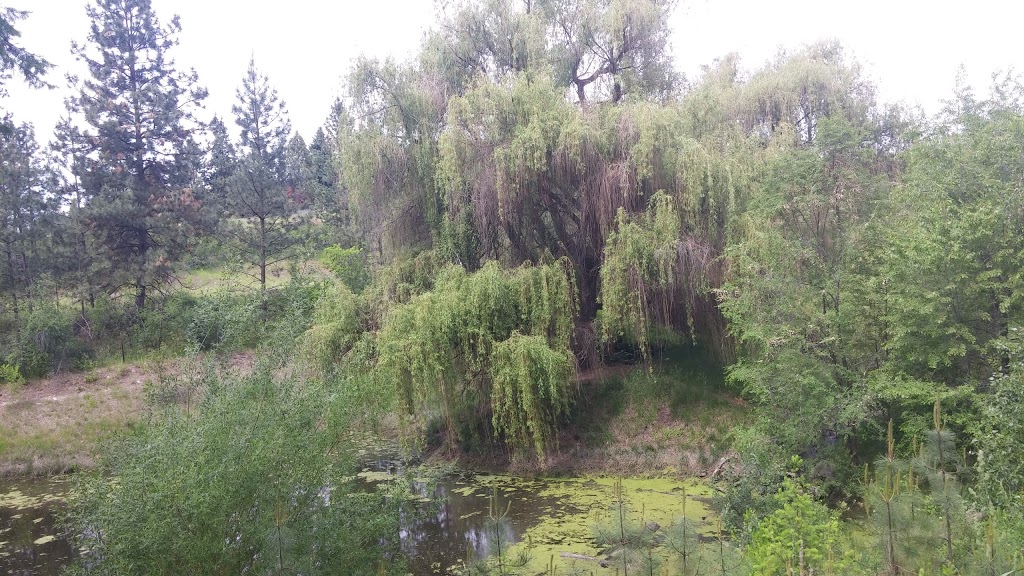 Gopher Creek Linear Park | 1723 Lynrick Rd, Kelowna, BC V1P 1E9, Canada