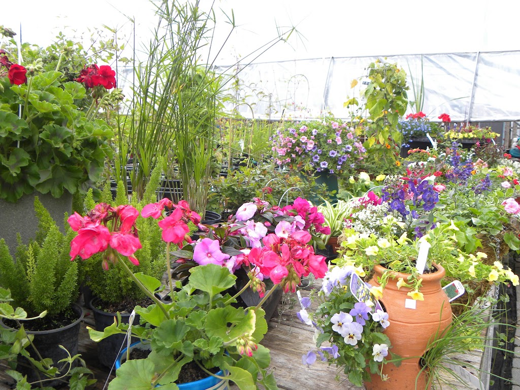 Centre de Jardin Del Esta | 241 Chem. du Fleuve, Coteau-du-Lac, QC J0P 1B0, Canada | Phone: (450) 763-5755
