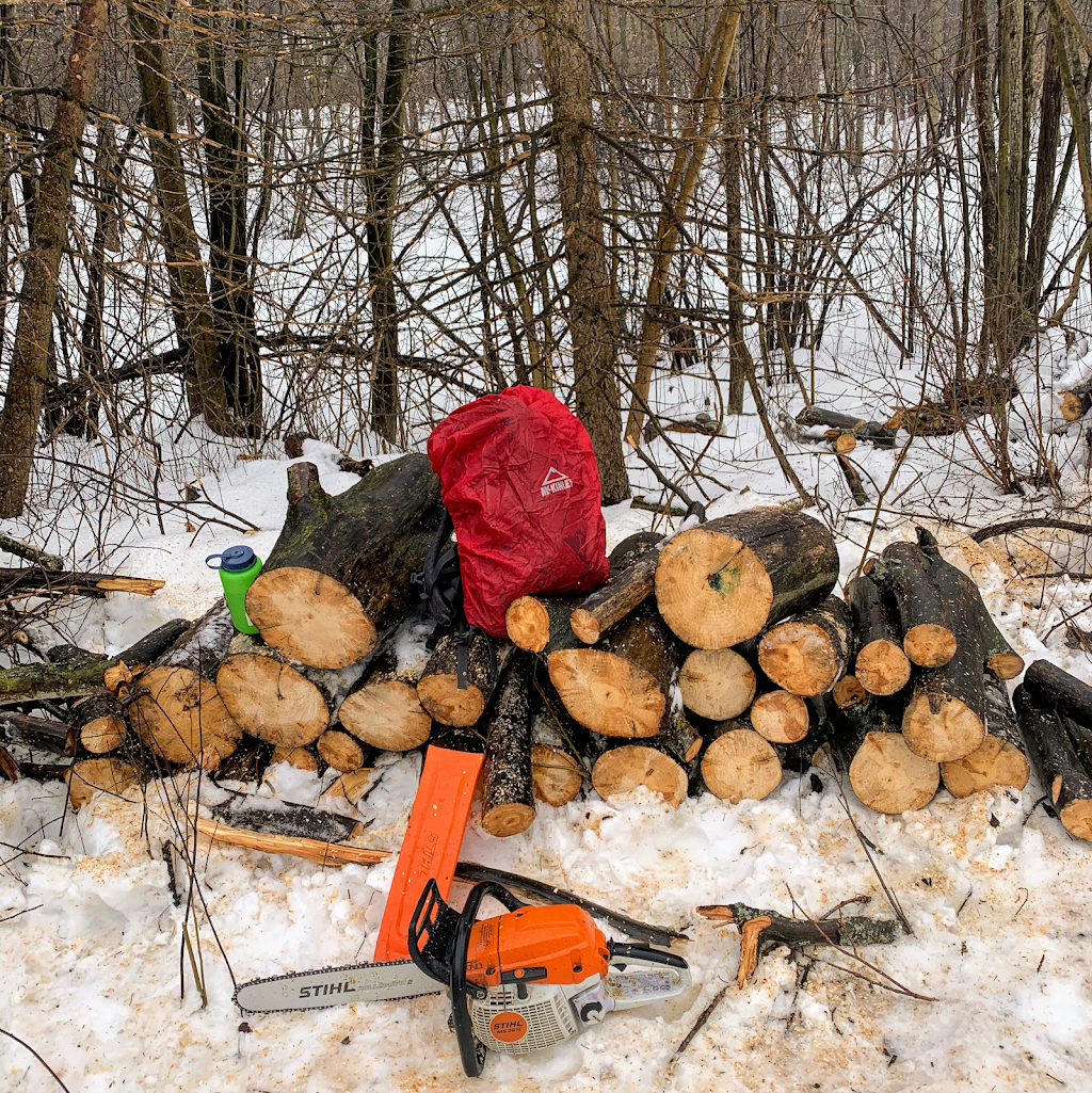 Ascents Tree Service | 8914 Adjala 10 Sideroad, Palgrave, ON L0N 1P0, Canada | Phone: (226) 500-5206