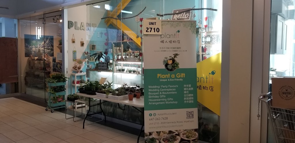 Plantit - Succulent, Air Plant, Cactus | 8339 Kennedy Road unit #2710 Langham Square 2nd floor escalator turn right 2nd store, Markham, ON L3R 1J5, Canada | Phone: (647) 262-7628