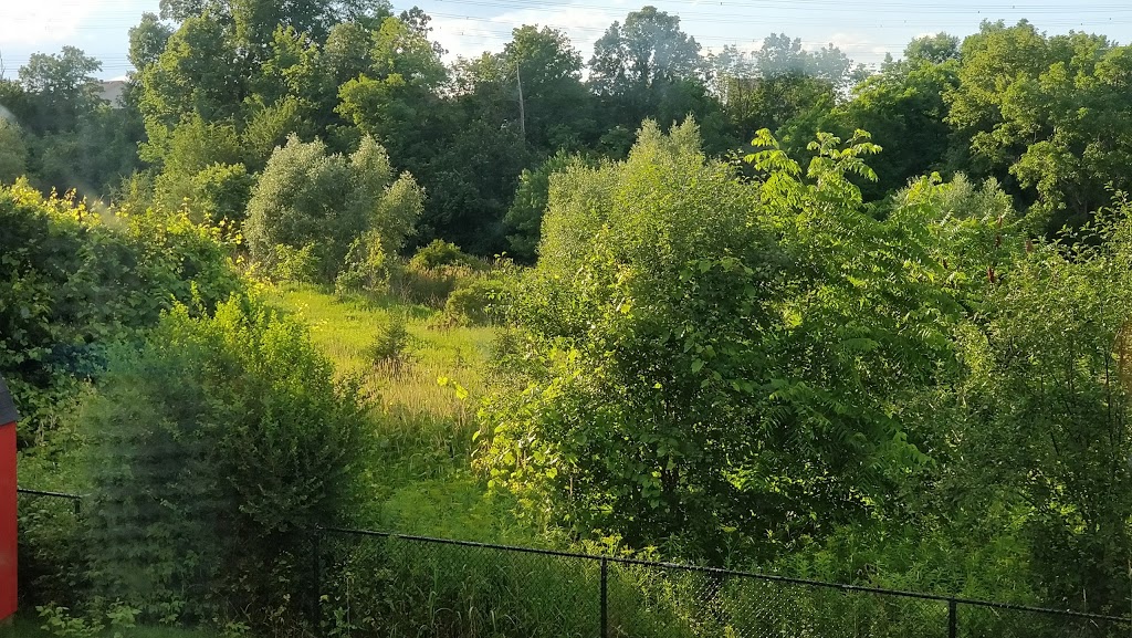 Levis Valley Park | 1575 Westbridge Way, Mississauga, ON L5N 7S9, Canada