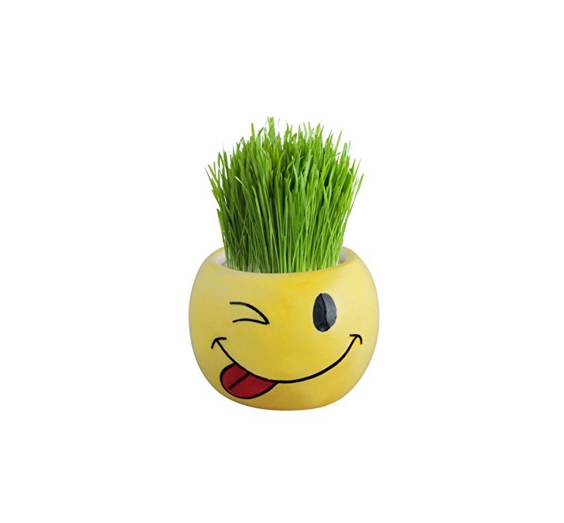 Guelph Gifts Online Shop | 81 Willow Rd #607, Guelph, ON N1H 1W5, Canada | Phone: (800) 806-5219