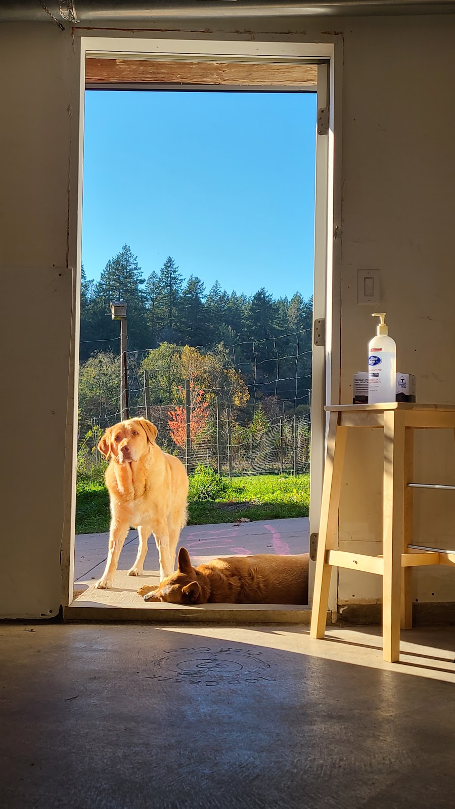 Junction Orchard & Cidery | 273 Prospect Lake Rd, Victoria, BC V9E 1J7, Canada | Phone: (250) 580-4723