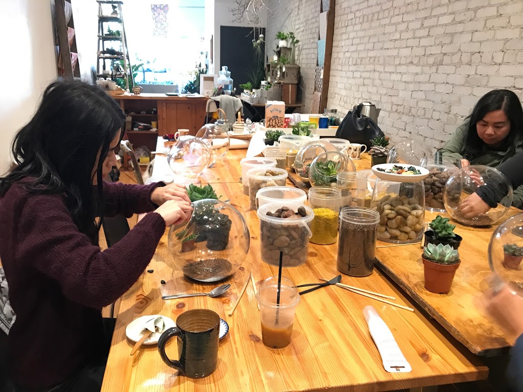 MIKA | 1593 Dundas St W, Toronto, ON M6K 1T9, Canada | Phone: (416) 885-2103