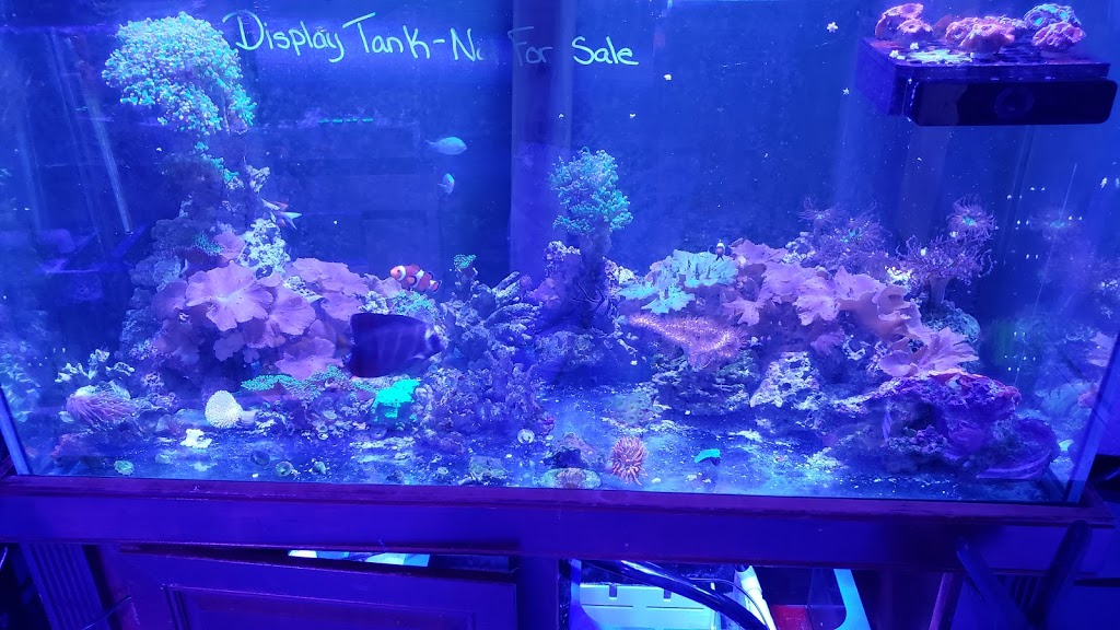 AquA AnimaniA Pet | 5400 Tecumseh Rd E #10, Windsor, ON N8T 1C7, Canada | Phone: (519) 946-2782