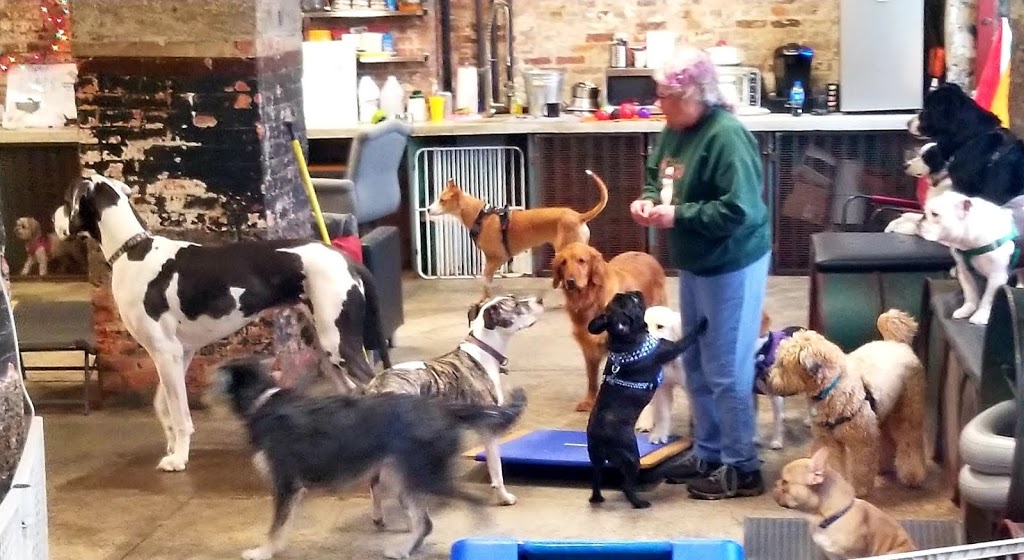 Animal Outfitters, Inc. | 500 Seneca St #150, Buffalo, NY 14204, USA | Phone: (716) 436-4553
