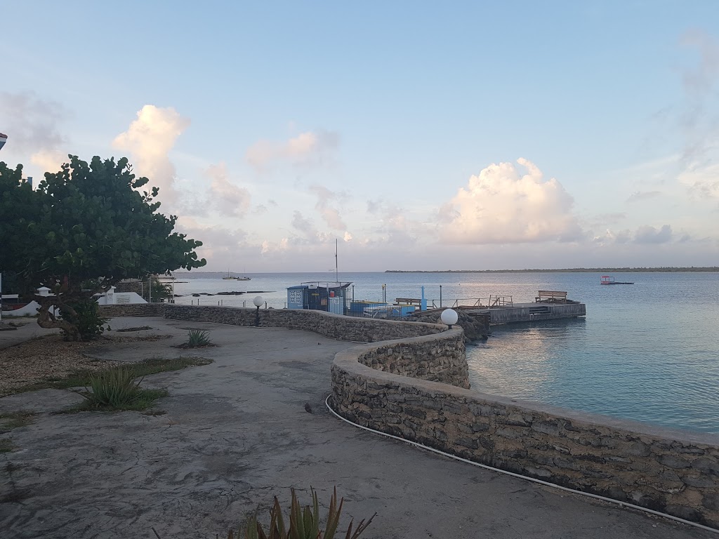 Caye Dive & Travel | 53 Marchwood Crescent, Bowmanville, ON L1C 5K5, Canada | Phone: (905) 903-4720