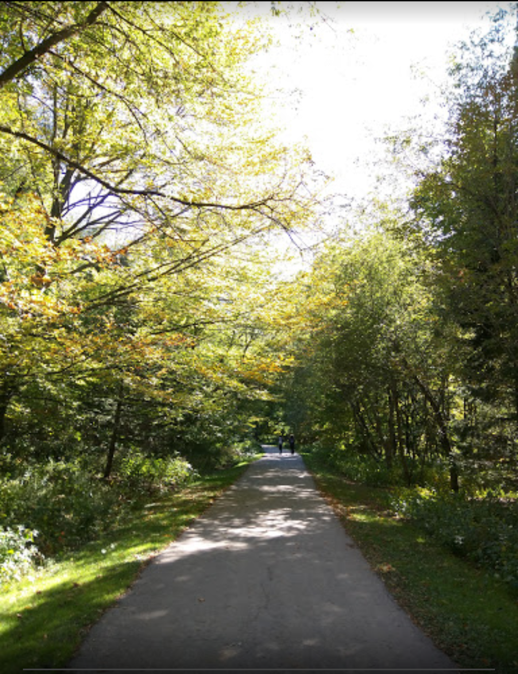 Warden Woods | 74 Fir Valley Ct, Toronto, ON M1H 3W5, Canada | Phone: (416) 338-4386
