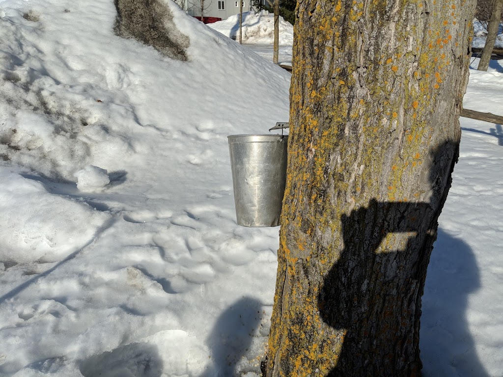 Cabane A Sucre Constantin | 1054 Boulevard Arthur-Sauvé, Saint-Eustache, QC J7R 4K3, Canada | Phone: (450) 473-2374