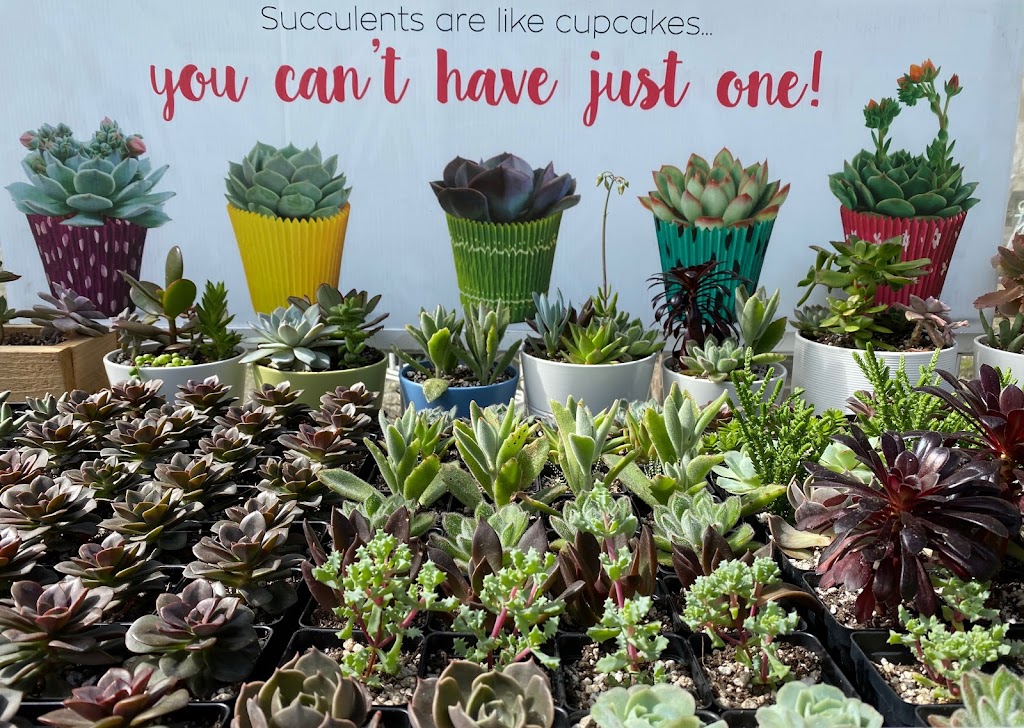 The Planted Farm | Succulents Victoria | 1340 Wain Rd, North Saanich, BC V8L 5V1, Canada | Phone: (250) 893-3547