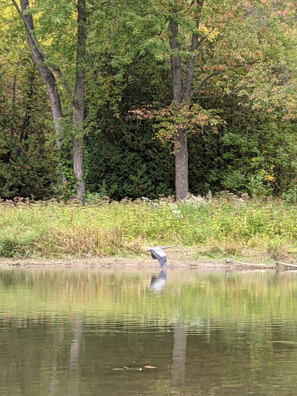 Free Spirit Tours | 1888 Klondike Park Rd, Wasaga Beach, ON L9Z 2A9, Canada | Phone: (705) 606-0867