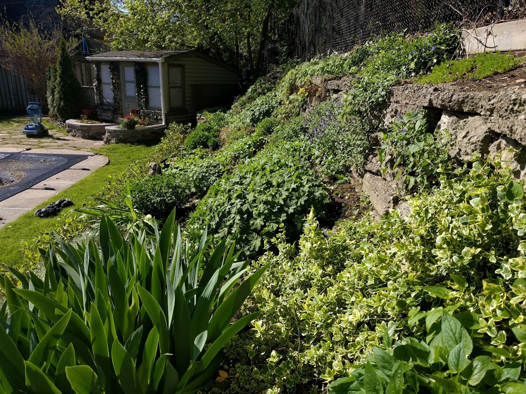 The Garden Artist | 2655 Bloor St W #301, Etobicoke, ON M8X 1A3, Canada | Phone: (905) 330-6226