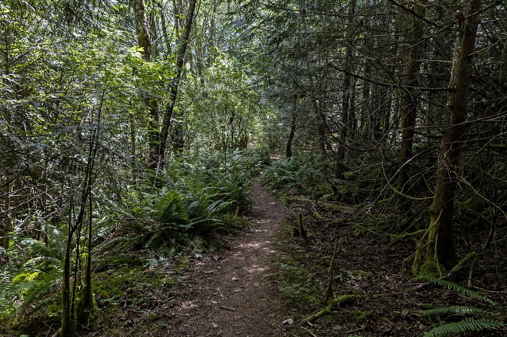 South Prospect Lake Park | 4675 Prospect Lake Rd, Victoria, BC V9E 1J5, Canada