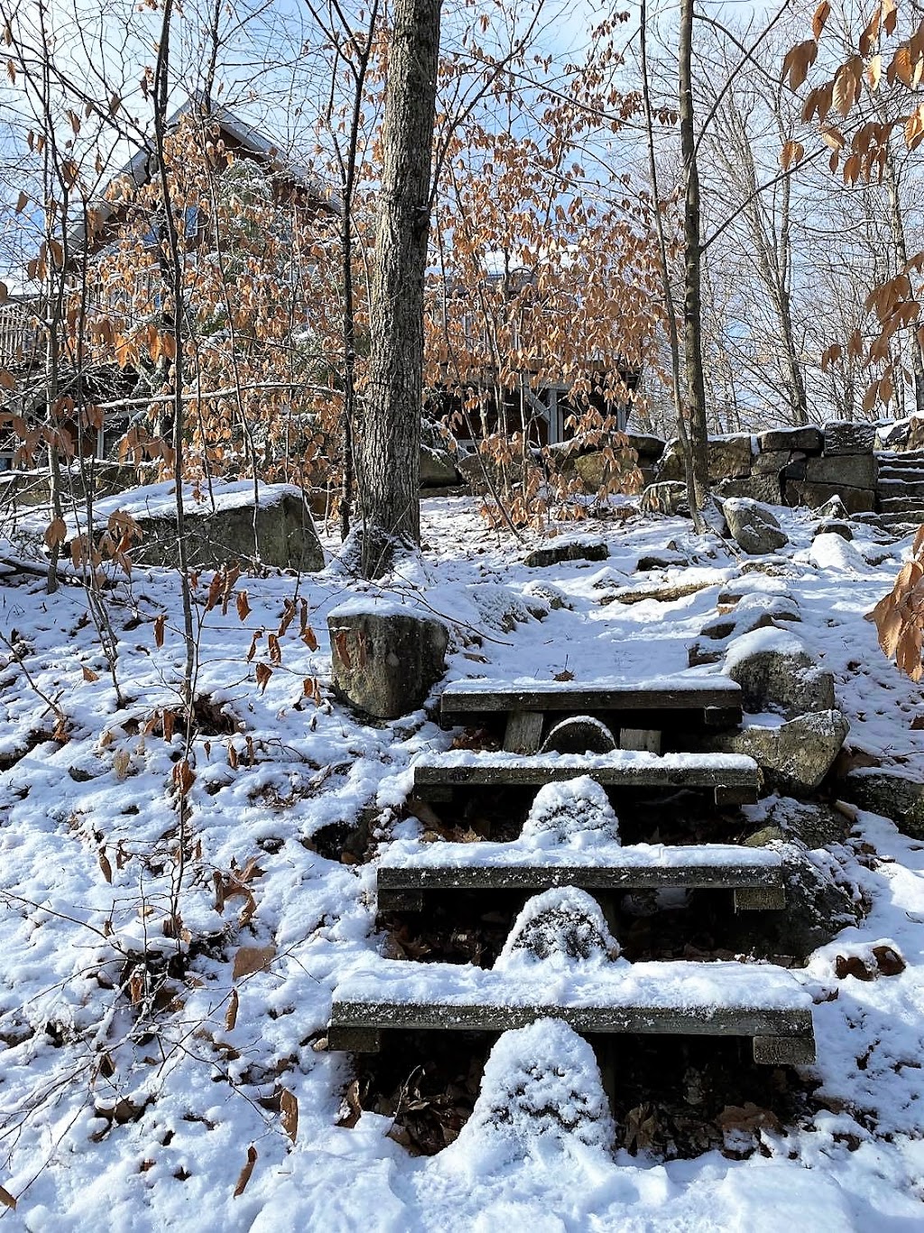 Le Chalet à louer Le Caméléon | 72 Rue du Tour du Lac, Gore, QC J0V 1K0, Canada | Phone: (450) 501-6614