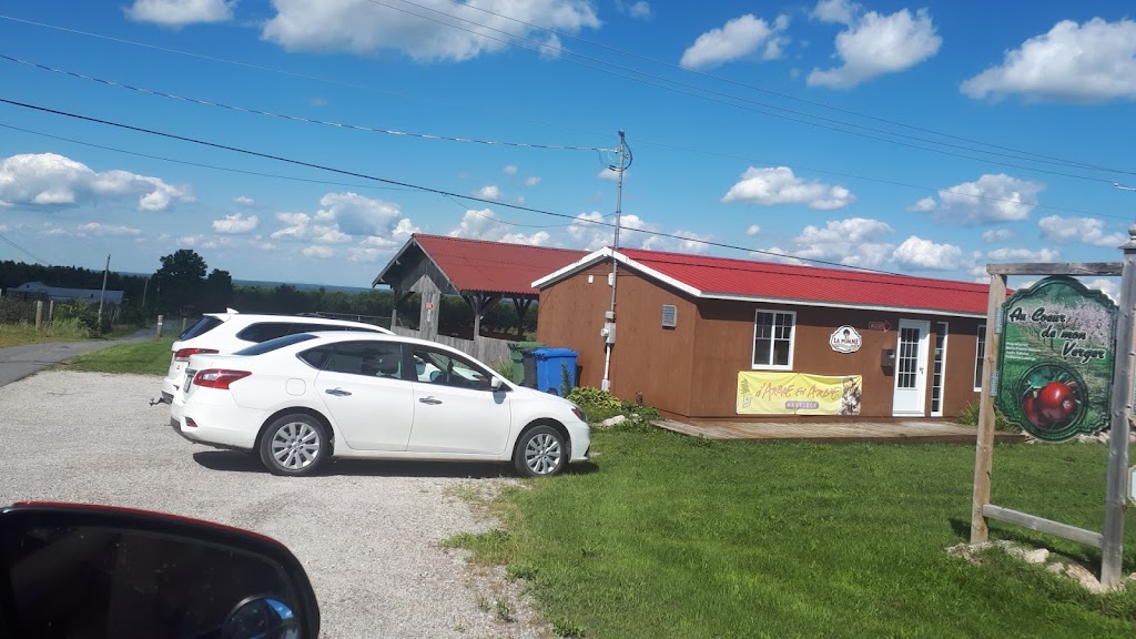Arbre en Arbre Havelock | 551 Chem. de Covey Hill, Havelock, QC J0S 2C0, Canada | Phone: (450) 247-2785