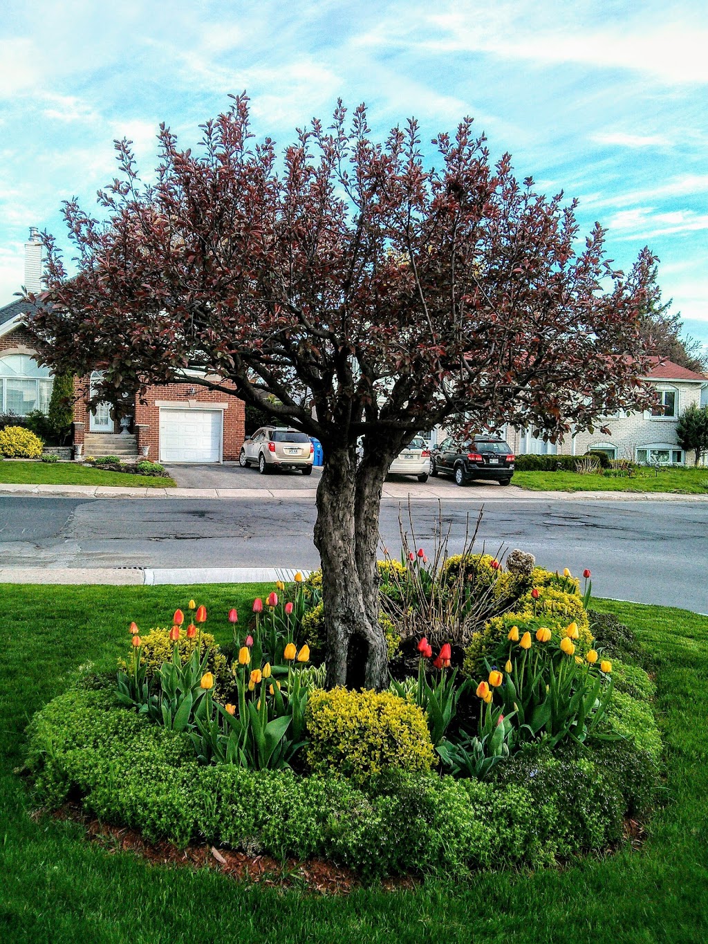Parc Boisjoli | 5250 Terrasse Boisjoli, Saint-Hubert, QC J3Y 5Z1, Canada
