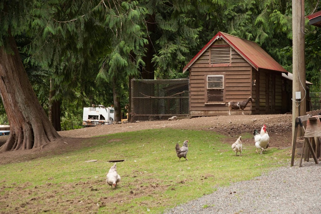 Cowichan Valley Hostel | 5065 Ellison Rd, Duncan, BC V9L 6H5, Canada | Phone: (250) 701-2029