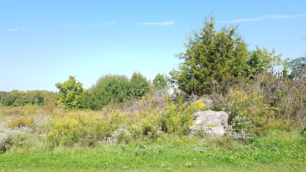 Shagbark Nature Park | Fort Erie, ON L0S 1N0, Canada
