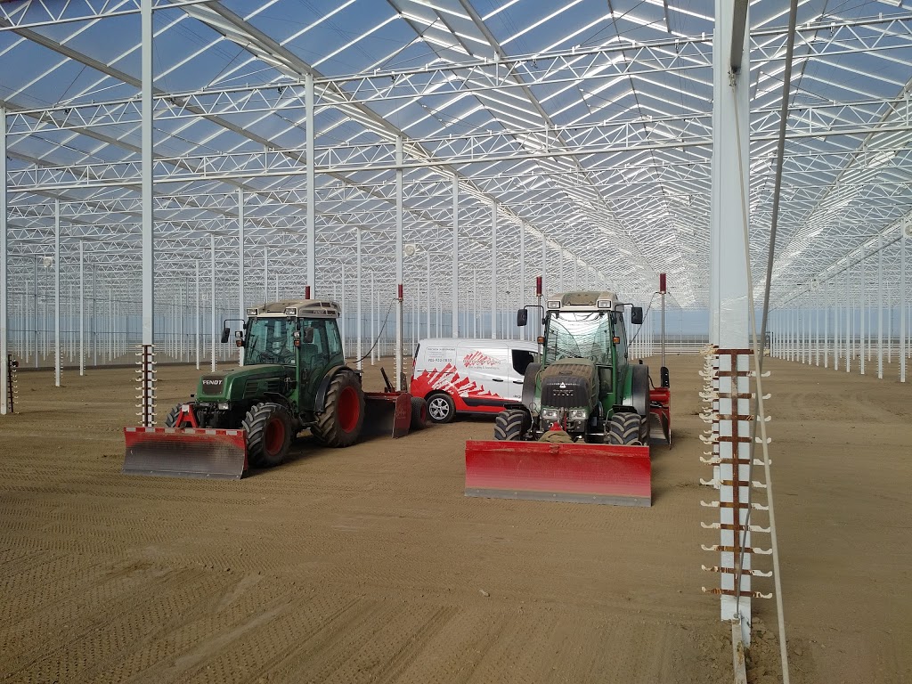 Platinum Produce | 21037 Communication Rd, Blenheim, ON N0P 1A0, Canada | Phone: (519) 676-1772