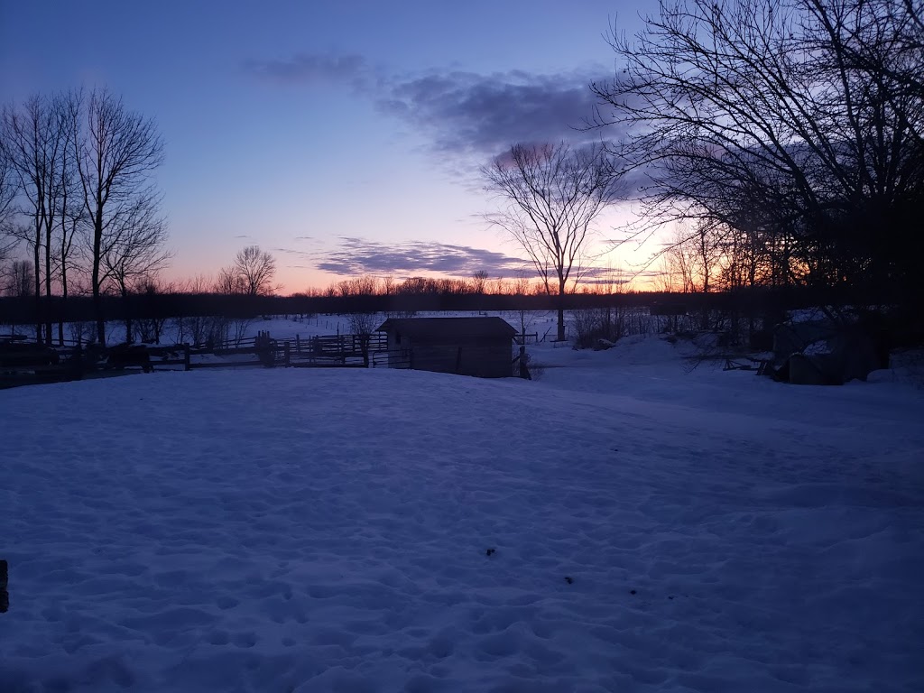 The Sharp Life Homestead | 1633 Dunns Line RR5, Coldwater, ON L0K 1E0, Canada | Phone: (705) 330-1243