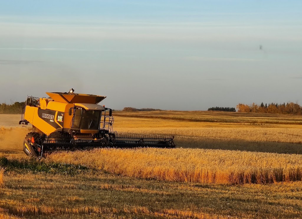 Benke Farm | 49063, Range Rd 250, Leduc, AB T4X 2B9, Canada | Phone: (780) 986-6016