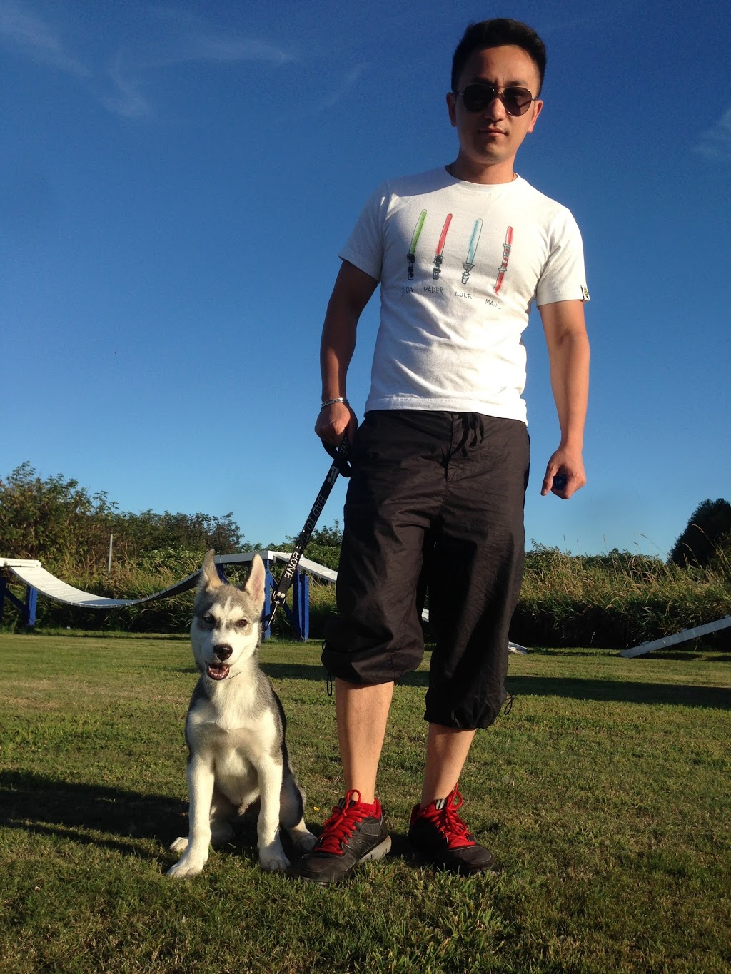 BC Canine Training Centre | 13800 No. 3 Rd, Richmond, BC V7A 1X6, Canada | Phone: (604) 370-3647