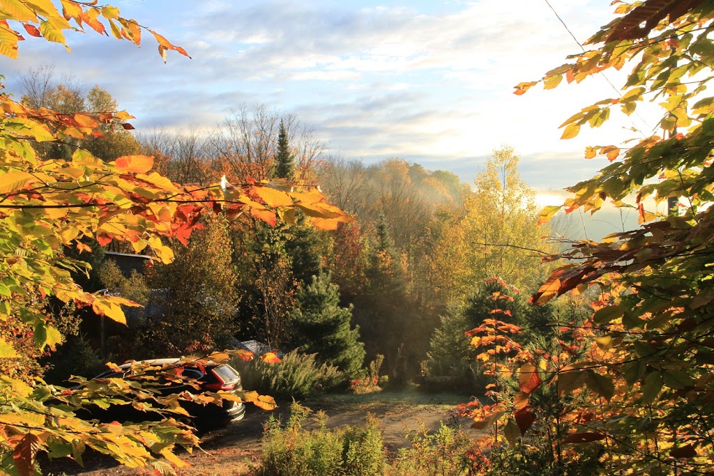 DJ Cottages | 104 Longs Lake Rd, Utterson, ON P0B 1M0, Canada | Phone: (416) 567-6538
