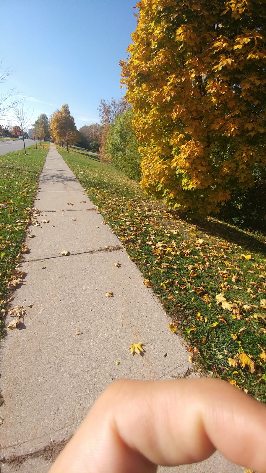 Queens Greenbelt | 600 Queens Dr, North York, ON M6L 1N3, Canada | Phone: (416) 338-4386