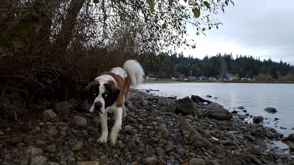 Sudden Valley Dog Park | Marina Dr, Bellingham, WA 98229, USA