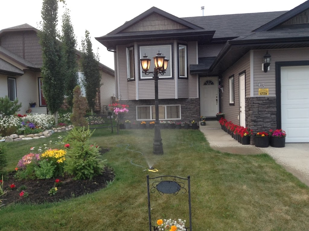 Asma Family Daycare Centre | 43 Volk Pl, Red Deer, AB T4R 0E1, Canada | Phone: (403) 596-3899