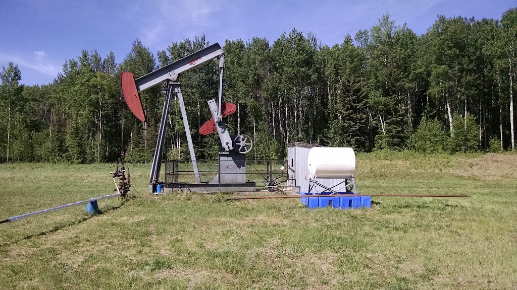Vulture Energy Ltd. | 133 Springbank Pl SW, Calgary, AB T3H 3S5, Canada | Phone: (403) 669-1621