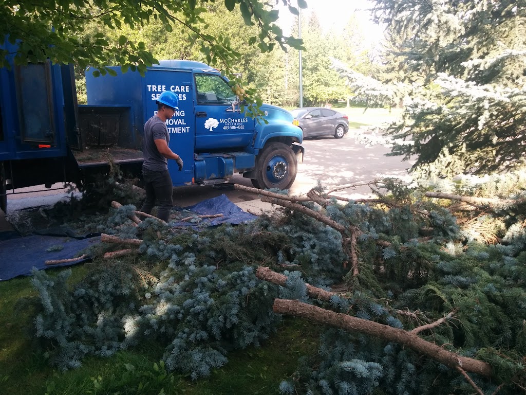 McCharles Tree Service | 3722 57 Ave #22046, Red Deer, AB T4N 6X4, Canada | Phone: (587) 377-5967