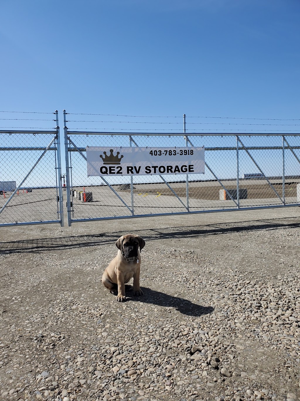 QE2 RV Storage | 431043, Range Rd 261, Ponoka, AB T4J 1J8, Canada | Phone: (403) 783-3918