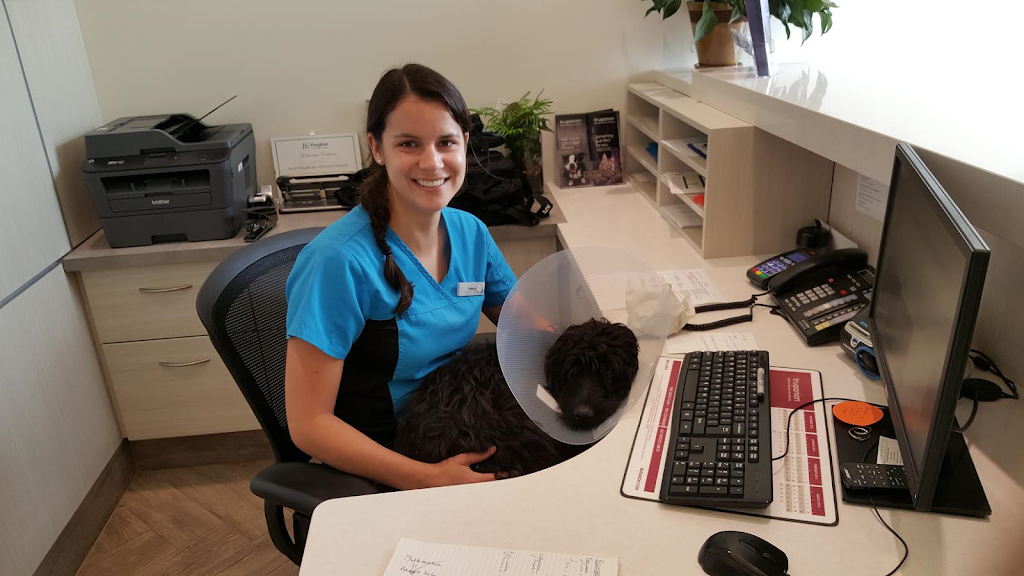 North Woodbridge Veterinary Hospital | 10501 Weston Rd #3, Vaughan, ON L4H 4G8, Canada | Phone: (905) 553-9000