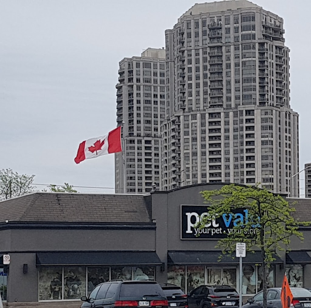 ServiceOntario | 5035 Hurontario St #13, Mississauga, ON L4Z 3X7, Canada | Phone: (905) 502-1313