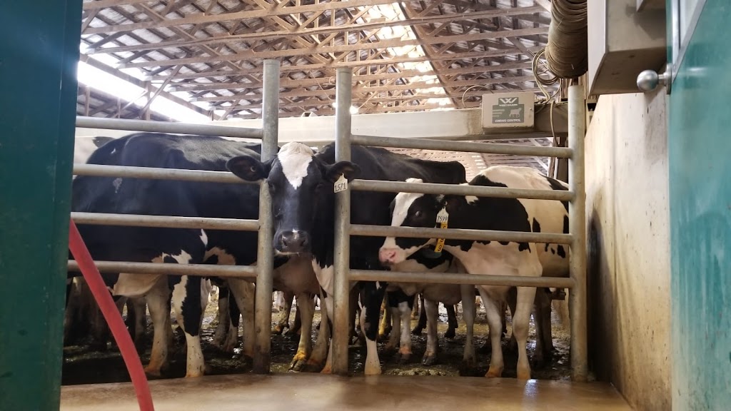Pacific Dairy Centre Ltd | 8558 Chilliwack Mountain Rd, Chilliwack, BC V2R 3W8, Canada | Phone: (604) 852-9020