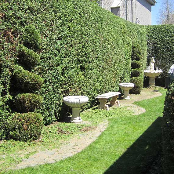 Émondage Goulet | 2831 Rue des Jacinthes, Carignan, QC J3L 5K3, Canada | Phone: (514) 591-9119