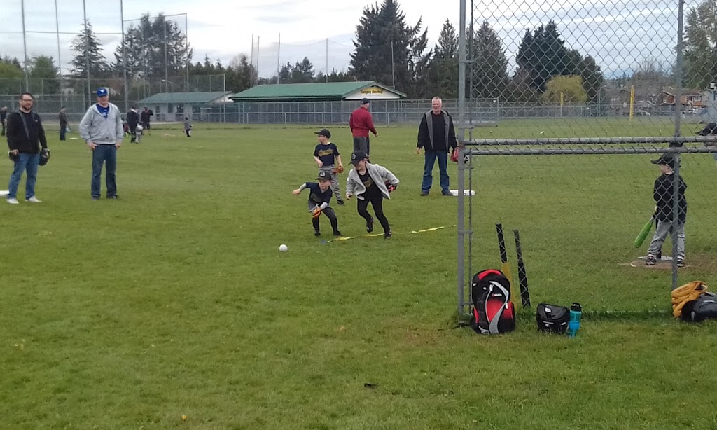 Langley City Park | 20577-20605 48 Ave, Langley City, BC V3A 3L6, Canada | Phone: (604) 514-2800