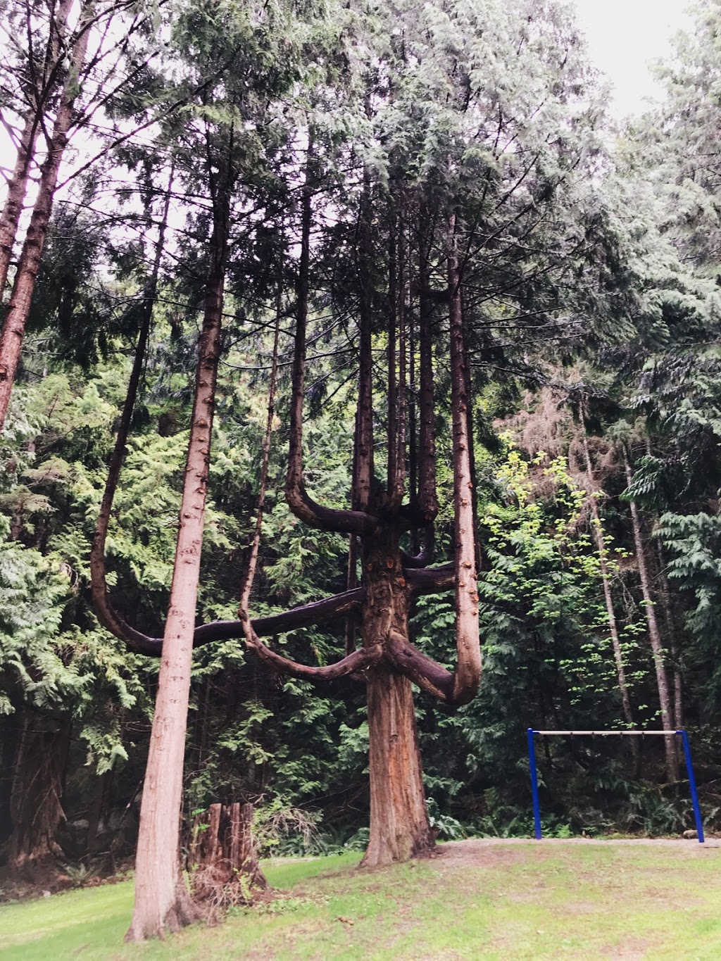 Sandy Hook Park | 6009 Ark Rd, Sechelt, BC V0N 3A4, Canada