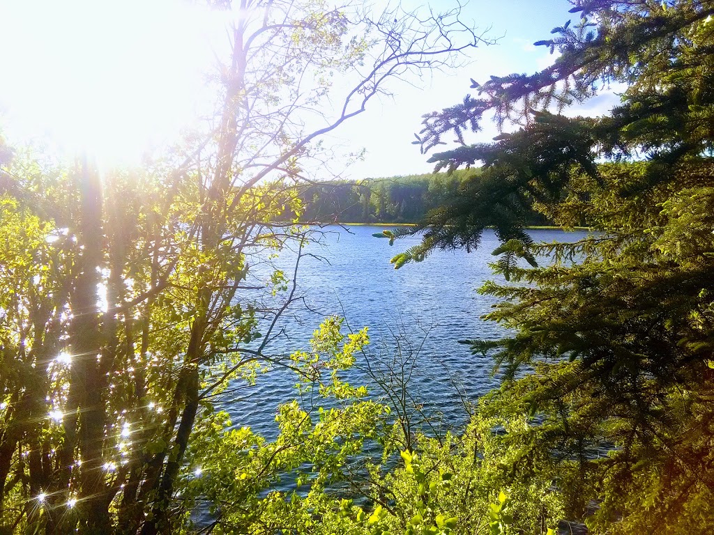 Sundance Regional Park (PRRD) | 1346 BC-97 S, Okanagan Falls, BC V0H 1R0, Canada | Phone: (800) 670-7773