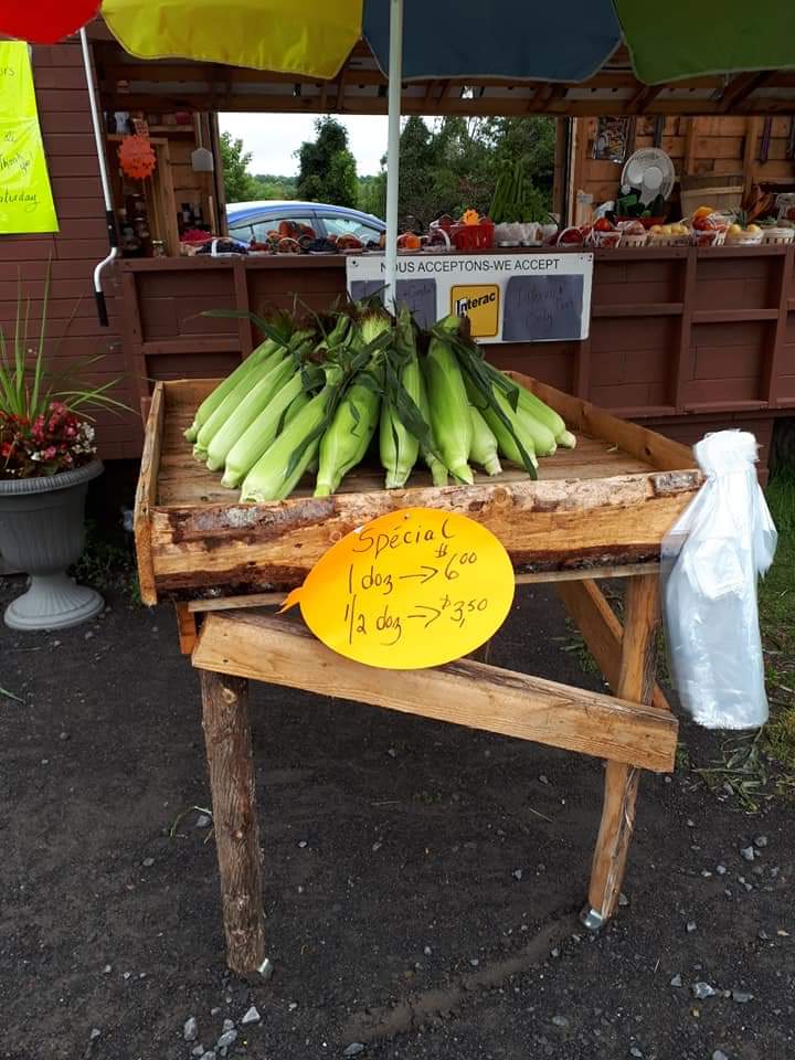 Le Potager de Francoise | 1841 Principale St, Chute-à-Blondeau, ON K0B 1B0, Canada | Phone: (450) 612-4746