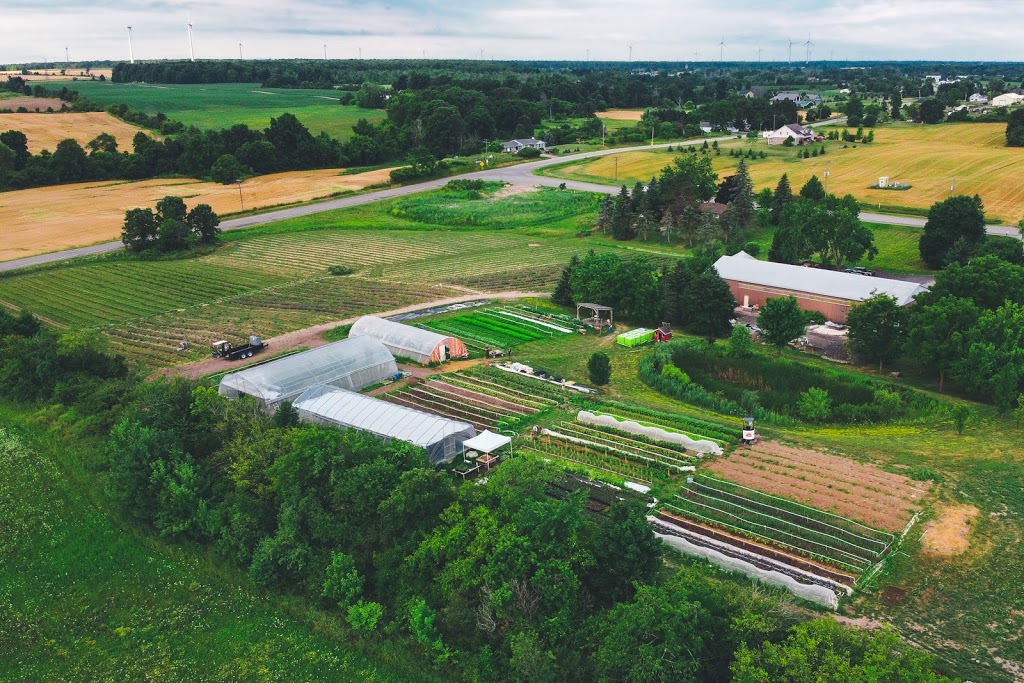Mingle Hill Farms | 2625 Mountain Rd, Saint Anns, ON L0R 1Y0, Canada | Phone: (905) 745-4254