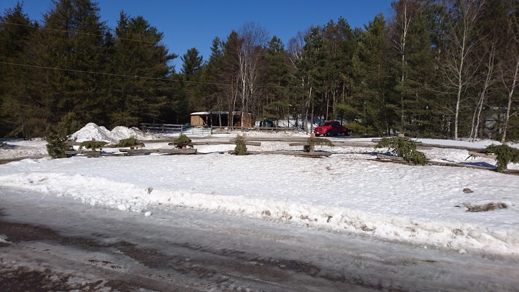 Sandaraska Park | 156 Sandaraska Rd, Bethany, ON L0A 1A0, Canada | Phone: (705) 277-2000