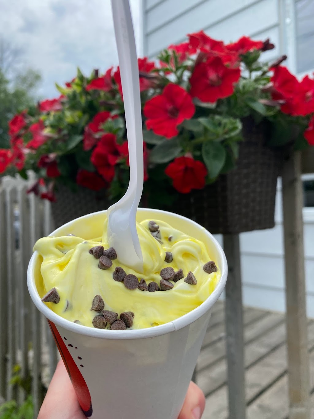 Crème et Cie | 309 Chem. du Fleuve, Coteau-du-Lac, QC J0P 1B0, Canada | Phone: (450) 308-1101