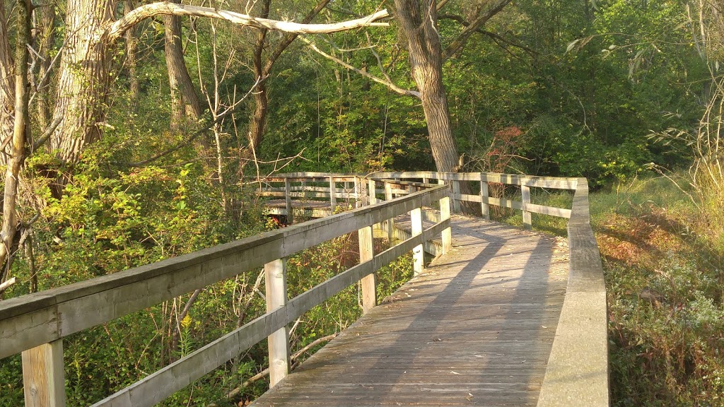 Saigeon Trail | Richmond Hill, ON L4E 4C2, Canada | Phone: (905) 771-8830