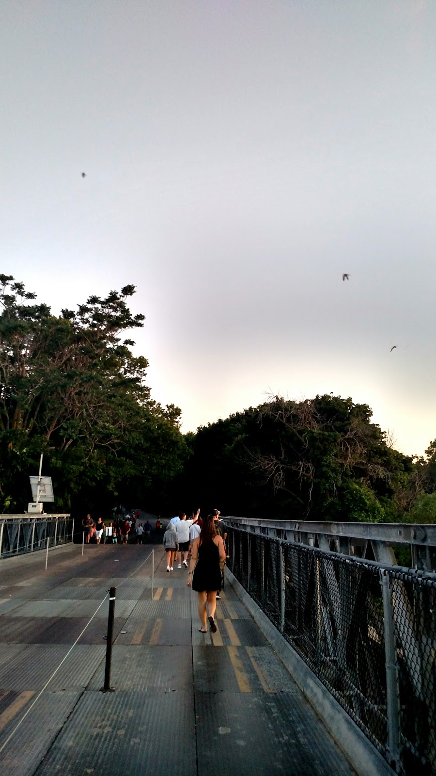 Niagara Falls Walking Tours | 307 Prospect St, Niagara Falls, NY 14303, USA | Phone: (716) 997-2245