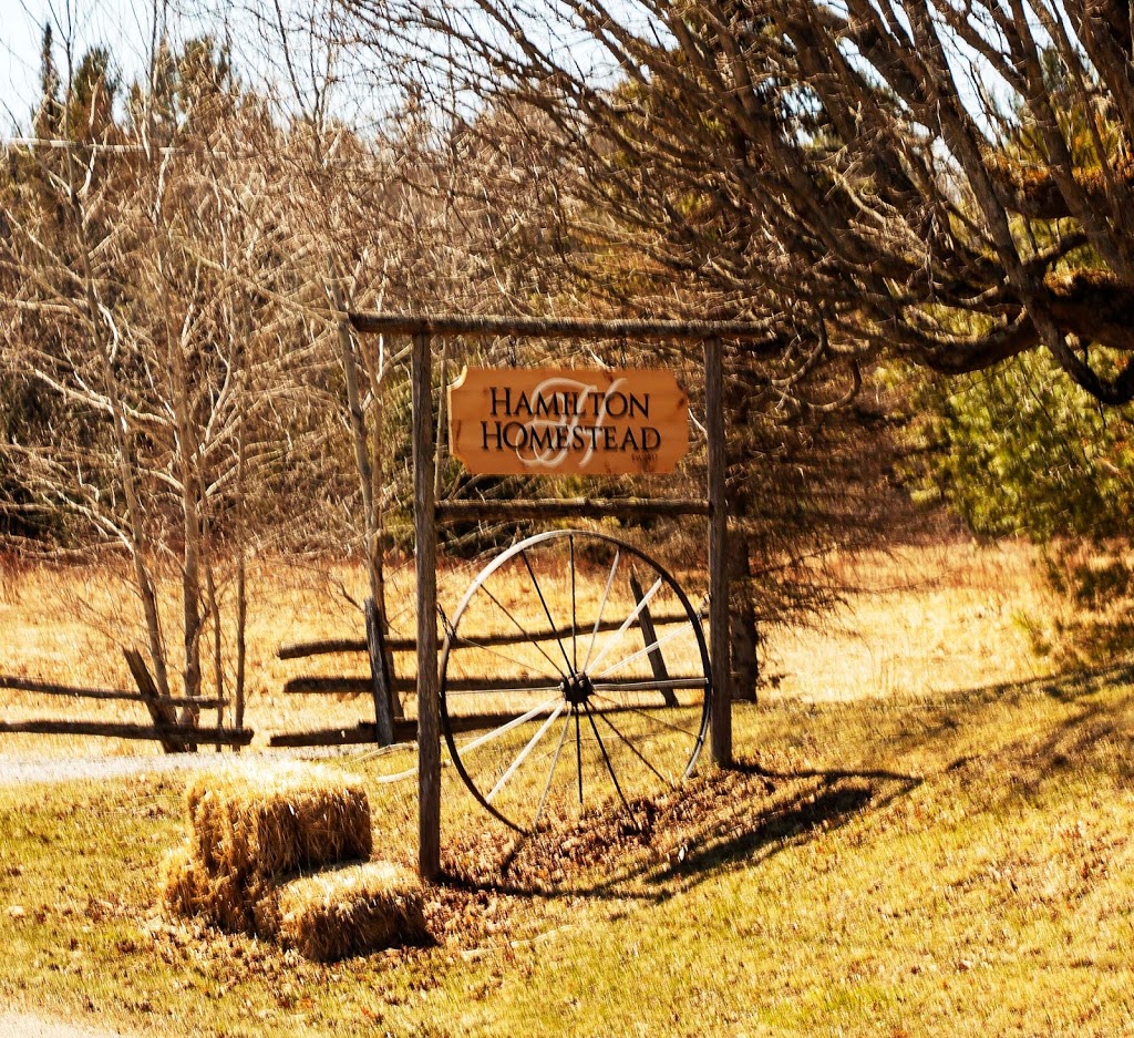 Hamilton Homestead | 1064 Barkway Rd, Gravenhurst, ON P1P 1R3, Canada | Phone: (705) 730-3566