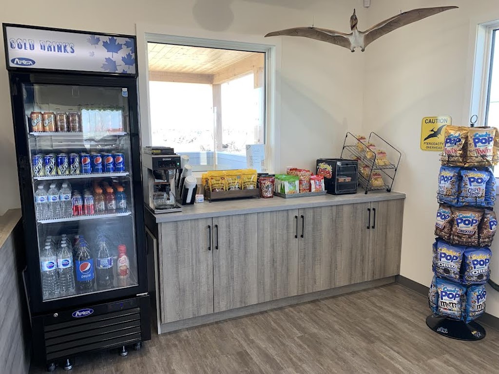 Jurassic Clubhouse | 2 Colert Rd, Morden, MB R6M 2E6, Canada | Phone: (204) 542-0681